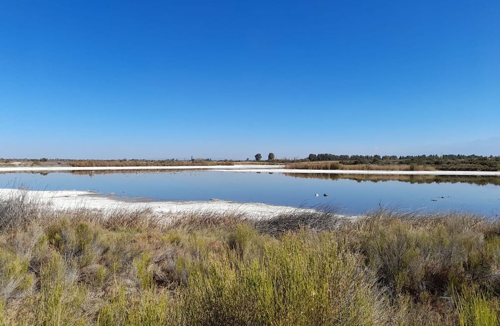 A favor y en contra de la ley de Humedales: cuál es su alcance y qué se espera respecto de su sanción