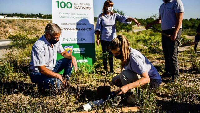 Autoridades locales y representantes de la empresa privada, plantando los ejemplares en San Antonio de Arredondo. (Foto: Facebook / Municipalidad San Antonio de Arredondo).