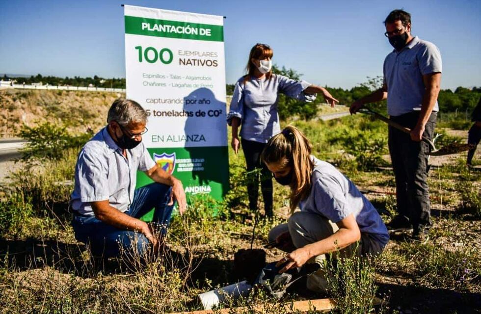 Una conocida empresa de gaseosas donó 100 árboles nativos a San Antonio de Arredondo
