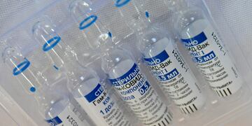 Llegaron más vacunas Sputnik V a Santa Fe