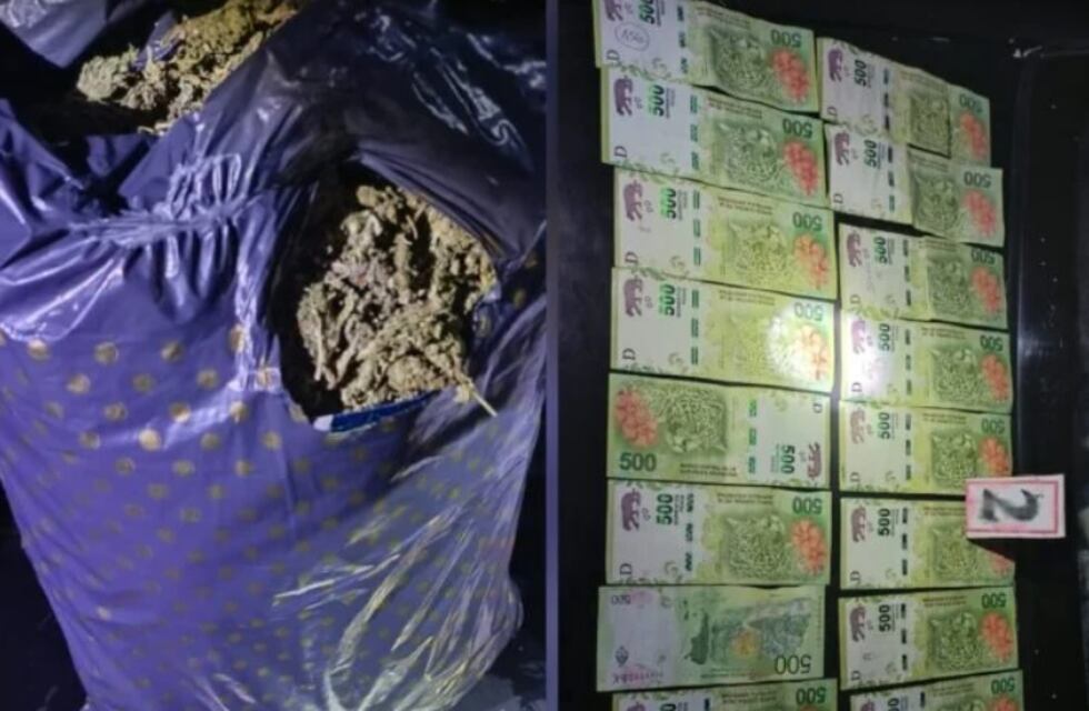Aristóbulo del Valle: incautan marihuana y dinero en efectivo tras un operativo policial