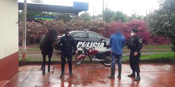 Un hombre sustrajo un caballo y cabalgó con él casi 50 kilómetros.