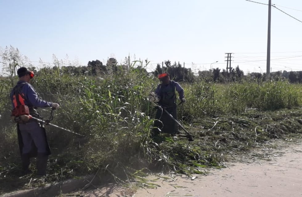 La importancia del mantenimiento y desmalezado
