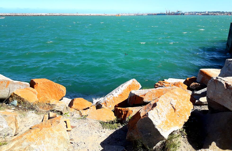 El lunes comenzó soleado y fresco en Mar del Plata: ¿Cómo sigue el tiempo en la semana?
