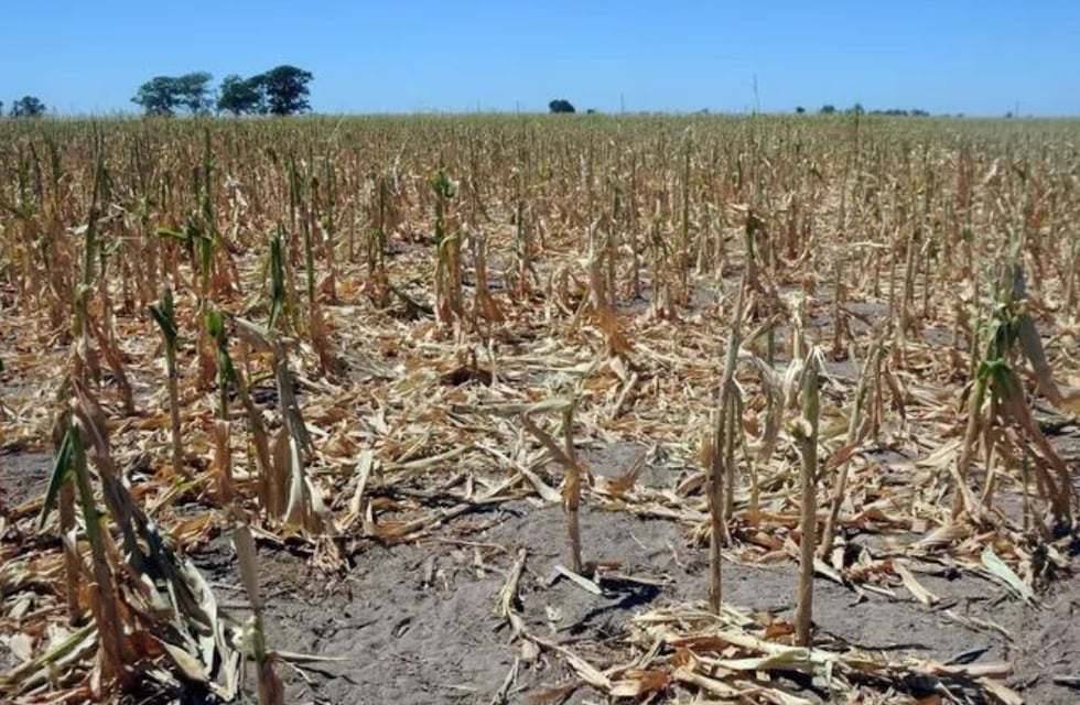 La sequía puede costar más de U$S 11.000 millones  y obliga a recortar todos los presupuestos