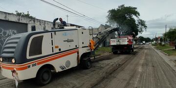 realizan poda de árboles, colocación de nuevo asfalto y arreglo de luminarias.