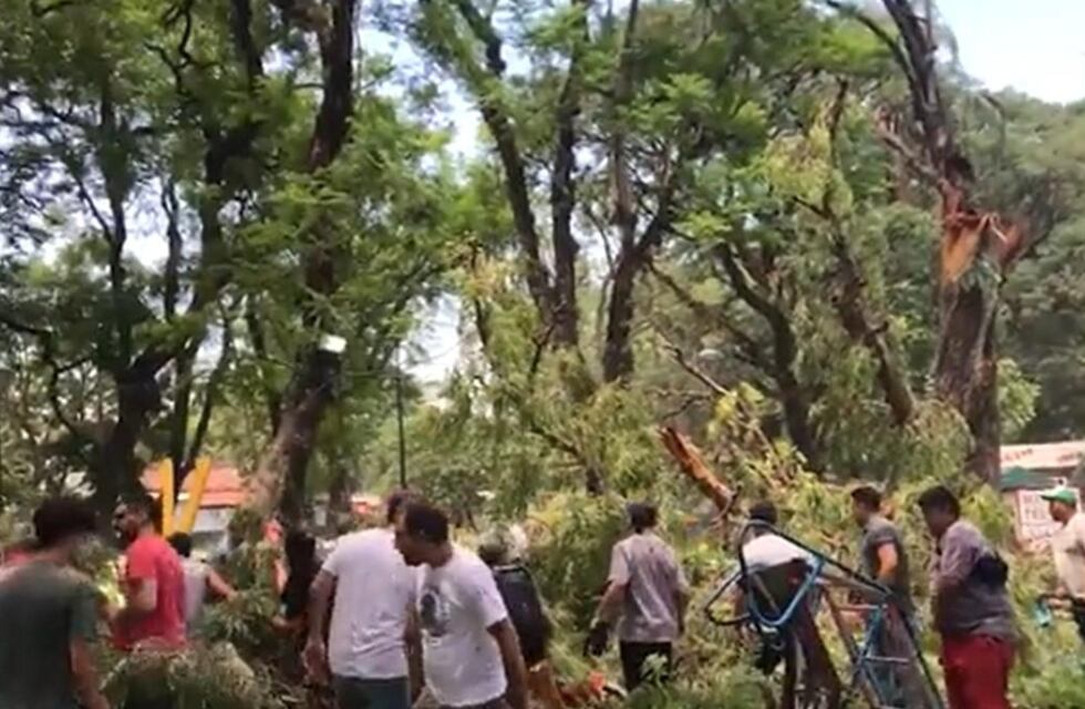 Un árbol cayó sobre los juegos infantiles en el parque Avellaneda en Tucumán: hay niños heridos