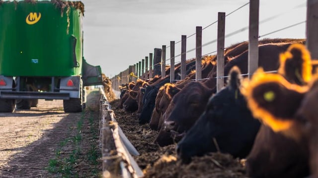 ALIMENTO. Sistema capaces de "leer" los comederos para saber si hay que recargarlos o que emiten alertas cuando hay que suplementar a los novillos, algunos desarrollos innovadores que ya se están utilizando. (Gentileza Bio 4)