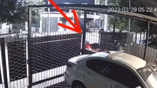 El video con el indignante robo ocurrido este jueves por la madrugada en la ciudad de Córdoba.