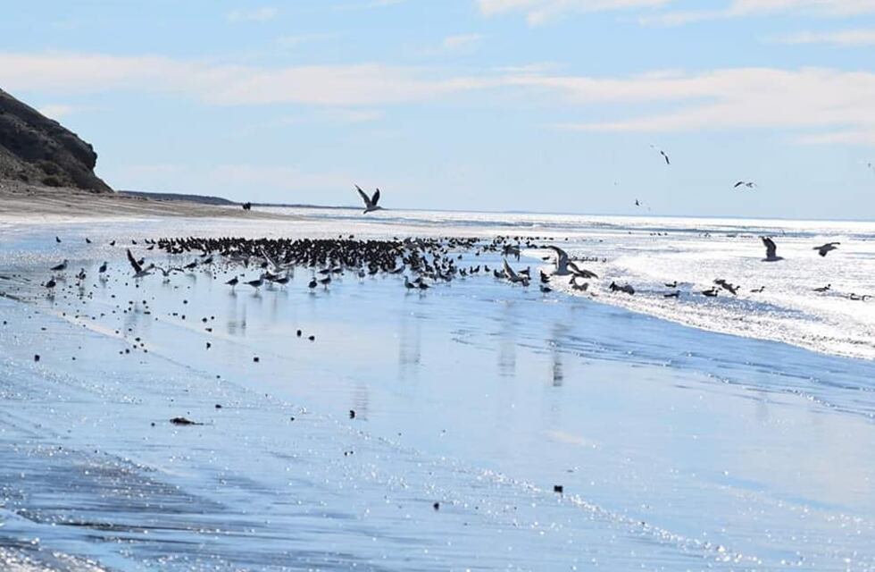 Semana de la Educación Ambiental