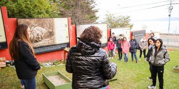 Ushuaia: este jueves se inaugurará la muestra “Caminata por Malvinas, naturalmente argentinas y fueguinas”