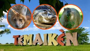 Temaiken en vacaciones de invierno