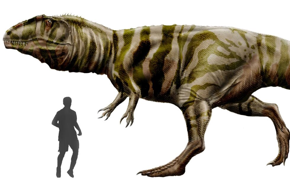 ¿Willy Wonka en Neuquén?: un chocolatero hizo una réplica de un dinosaurio con 20 kilos de chocolate