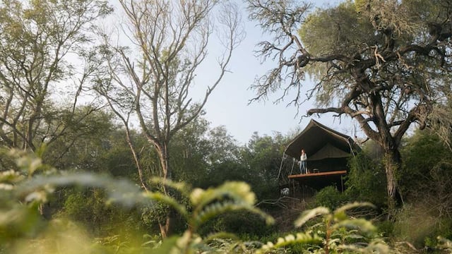Desde el viernes hasta el domingo ingresaron 48 visitantes provenientes de distintos lugares a recorrer los senderos del Parque Nacional El Impenetrable.