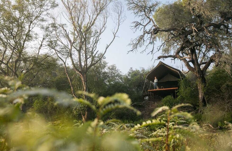Fin de semana largo: Chaco colmó su ocupación hotelera con el turismo de naturaleza