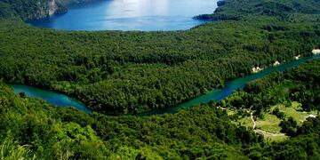 Organizaciones ambientales reclaman que la derogación de la Ley de Tierra perjudica a la Argentina.