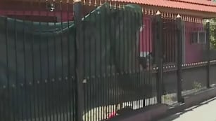 Una joven de 16 años mató a puñaladas a su novio en el pecho, llamó al 911 y escapó