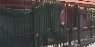 Una joven de 16 años mató a puñaladas a su novio en el pecho, llamó al 911 y escapó