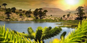 La laguna escondida en Neuquén que es ideal para descansar y despejar la mente.