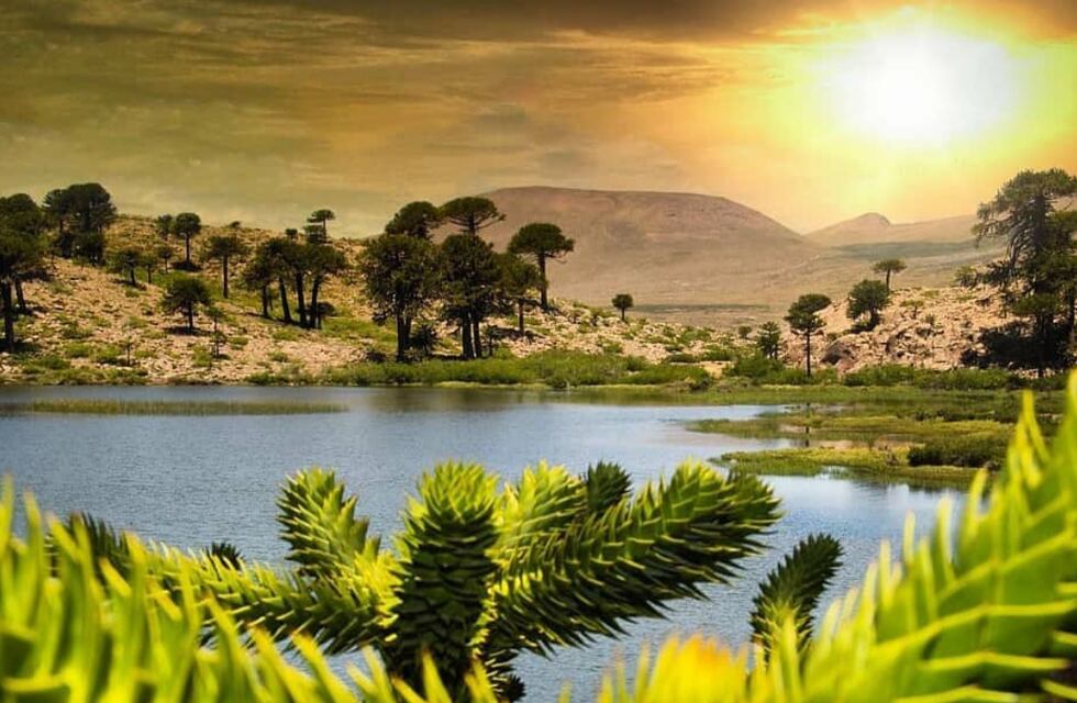 El gran secreto de Neuquén: conocé la laguna escondida que deslumbra con su belleza natural