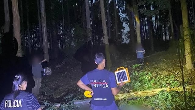 Murió un trabajador al ser golpeado por un tronco durante tareas forestales en Ruiz de Montoya´.