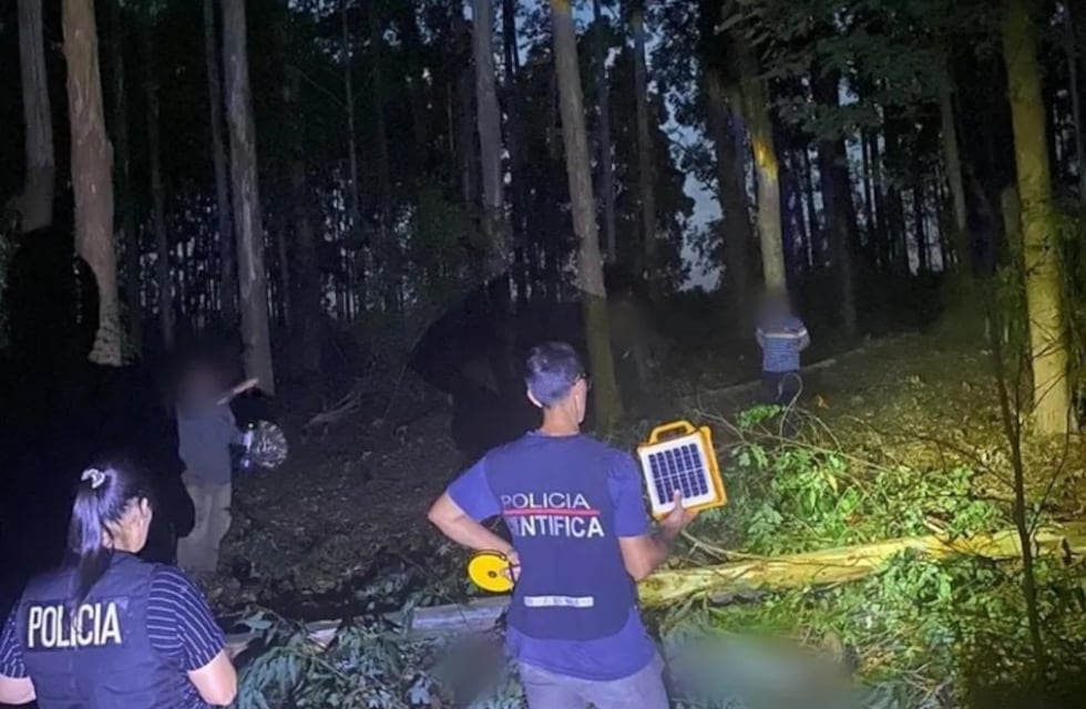 Murió un trabajador al ser golpeado por un tronco durante tareas forestales en Ruiz de Montoya