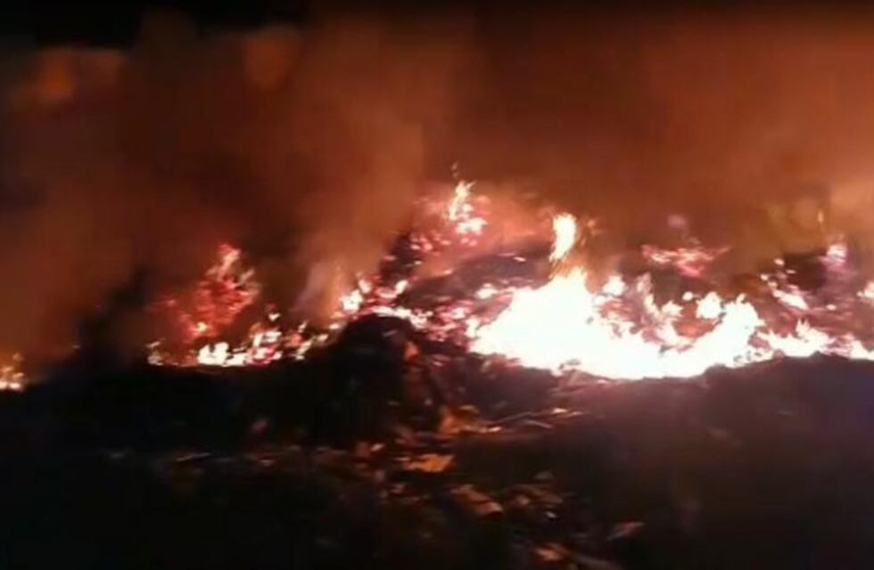 Eldorado: quema de residuos casi provoca una tragedia forestal