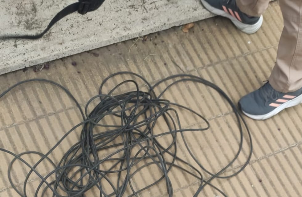 Volvieron a atrapar a robacables