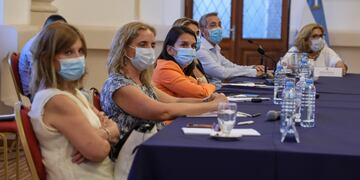 El Ministerio de Salud mantuvo una reunión con sus pares nacionales la semana anterior. (@minsaludsantafe)