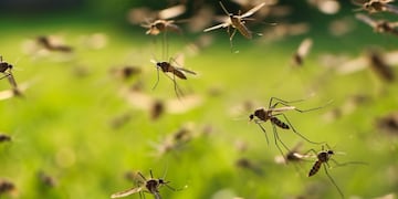 "Misión Dengue": comenzó la campaña de prevención en las escuelas de Gualeguaychú