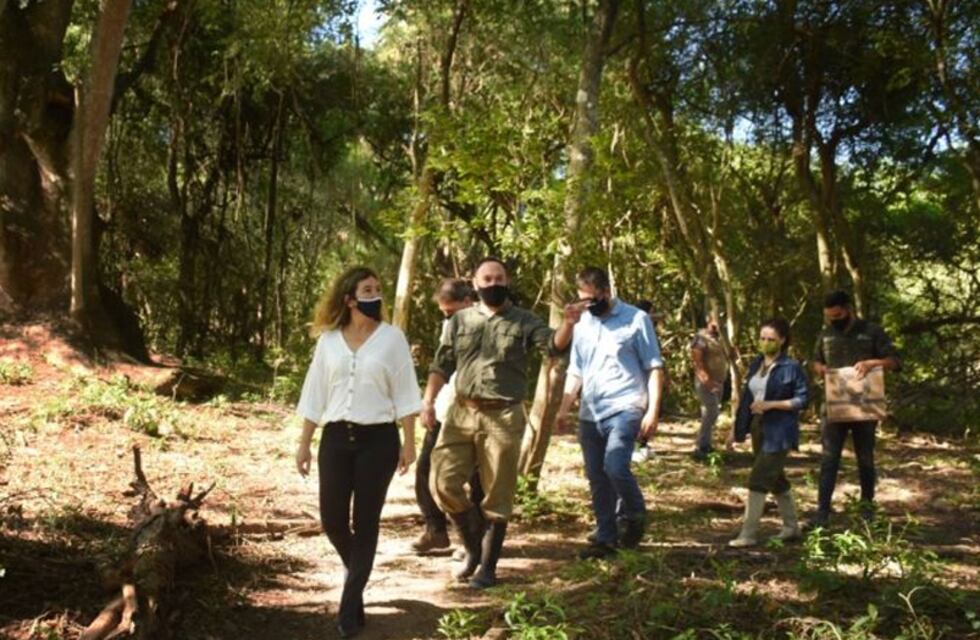 El Gobierno del Chaco propiciará una serie de leyes para la protección del medio ambiente