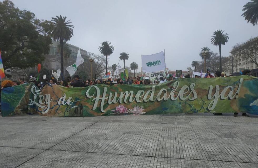 Indignación ambientalista: la Ley de humedales quedó fuera de las sesiones extraordinarias