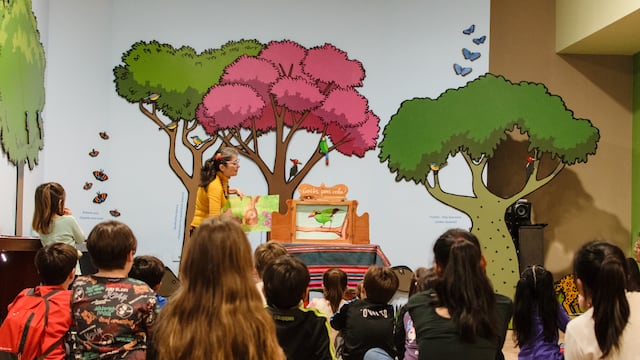 Tras seis intensas jornadas cargadas de propuestas literarias y artísticas, el Centro de Visitantes Ledesma cerró la primera edición de la Feria del Libro Jujuy en las Yungas con un balance altamente positivo.