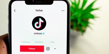 TikTok, la red social del momento, comenzará a restringirse en un estado de USA
