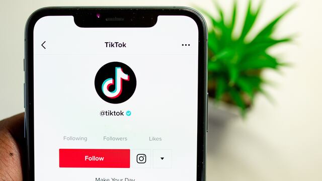TikTok, la red social del momento, comenzará a restringirse en un estado de USA