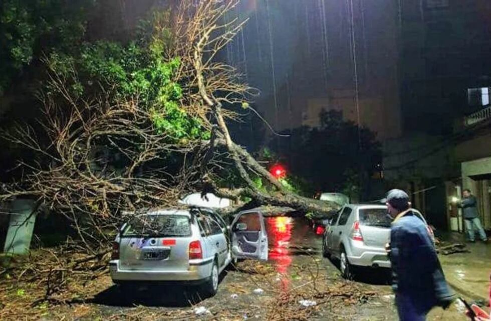 Un temporal destrozó árboles y autos y colabora Gendarmería en las calles