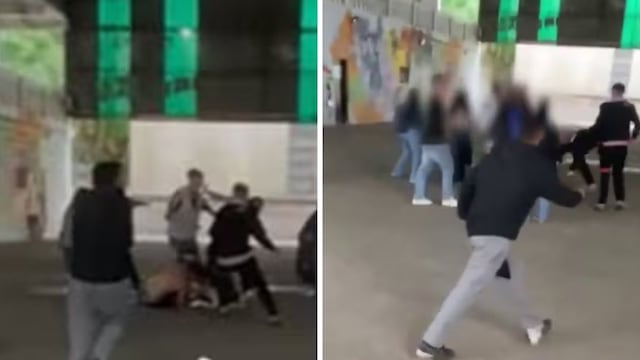 Violenta pelea en una escuela de La Plata: un exalumno se peleó con estudiantes y atacó a una preceptora