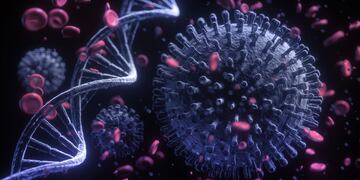 El virus funciona de una manera muy dinámica, produciendo mutaciones que lo hace más letal e infeccioso. Gentileza / www.paho.org