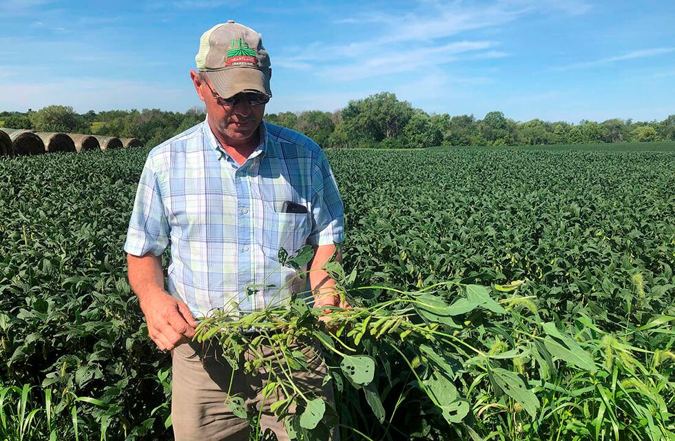 Revisión científica del impacto del cambio climático en las plagas de las plantas