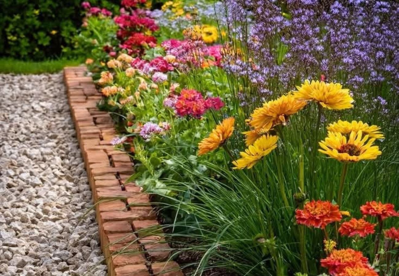 las plantas para sembrar en octubre