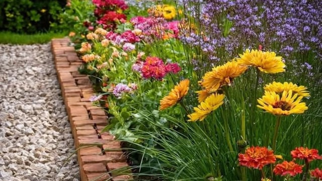 Estos son los 3 productos caseros que secan las plantas y que debes evitarlos siempre