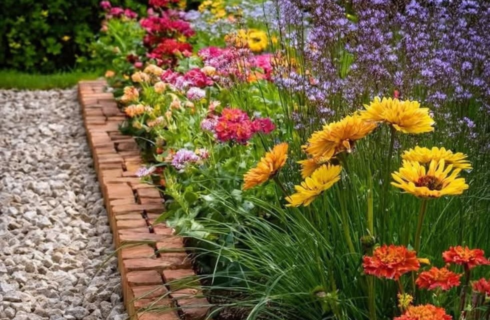 Estos son los 3 productos caseros que secan las plantas y que debes evitarlos siempre