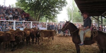 Preparan nueva feria y remate ganadero en sede de la Asociación Ganadera Andresito.
