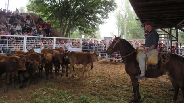Preparan nueva feria y remate ganadero en sede de la Asociación Ganadera Andresito.