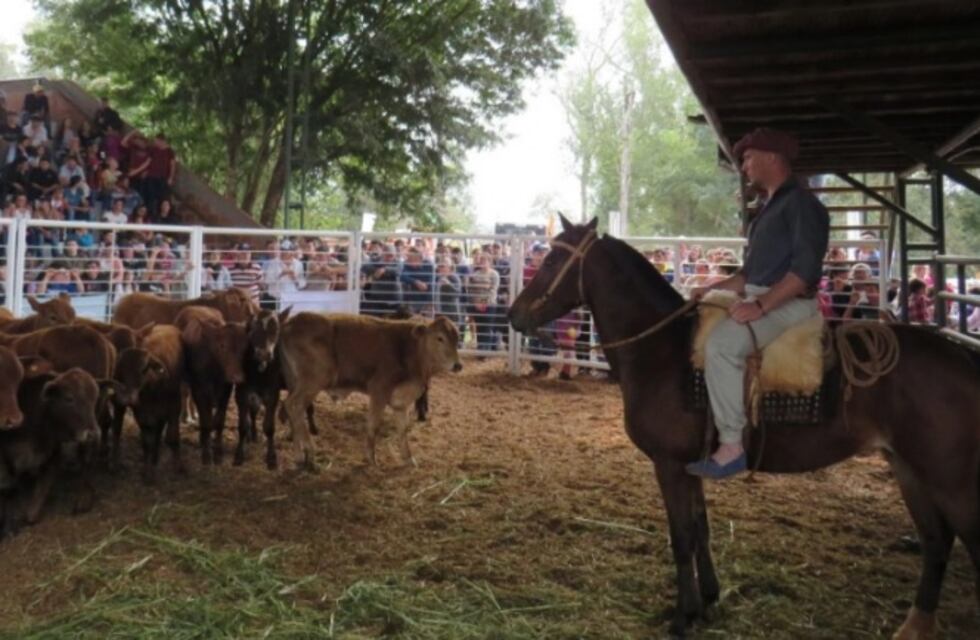 Preparan nueva feria y remate ganadero en sede de la Asociación Ganadera Andresito