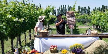 Alvear con sus costillars al ensartador fue protagonista del programa Cocineros Argentinos.