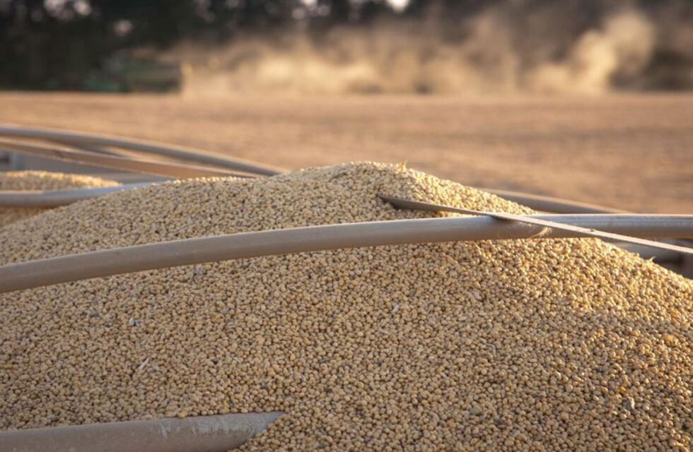 EL PRODUCTOR Y LOS INFORMES DEL USDA