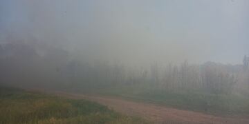 Incendio forestal en el barrio Talleres Nuevos de Pérez