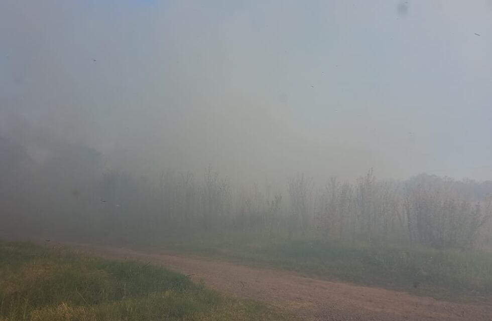 Incendio forestal en el barrio Talleres Nuevos de Pérez