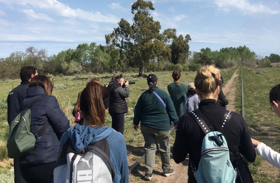 Tres Arroyos: Avistaje de aves en el Sitio de la Memoria de los Pueblos Originarios